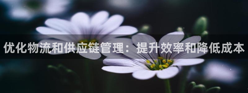 28圈预测
