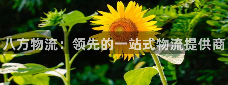 28圈.ccmpcios
