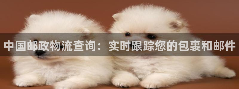 28圈官网开奖结果预测查询