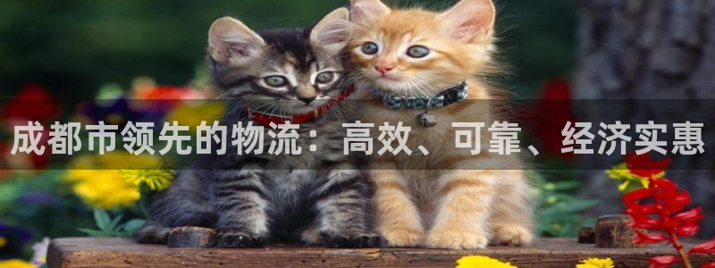 28圈下载链接是多少