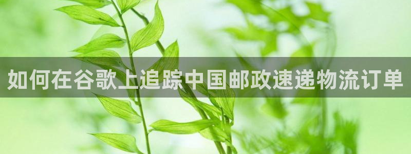 28圈pg麻将胡了2老是空转