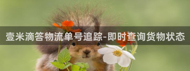 28圈游戏链接