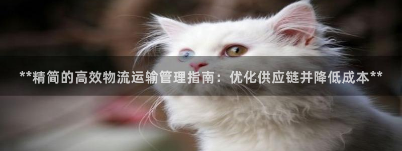 28圈图片