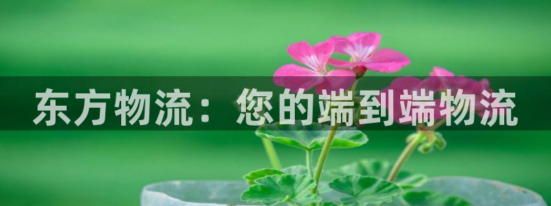 28圈官网开奖结果预测
