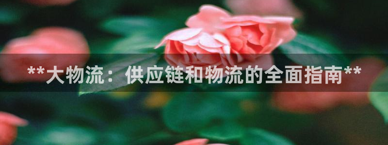 28圈充值不处理怎么办