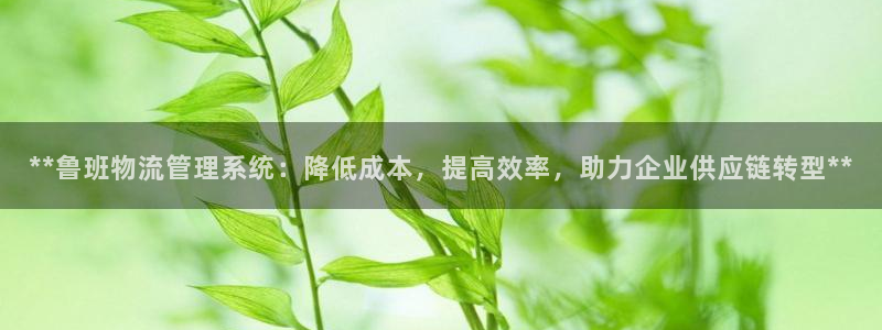 28圈模拟