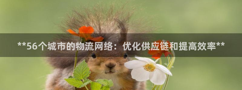 28圈正规吗