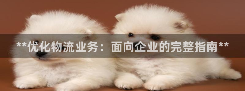 28圈.ccmpc正版