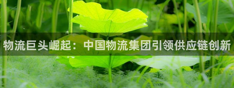 28圈.ccm正版