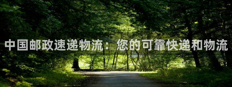 28圈官方网站预测