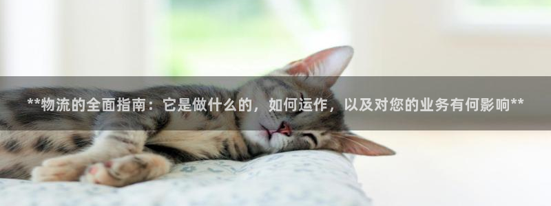 28圈黑平台吗