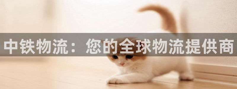 28圈体育下载