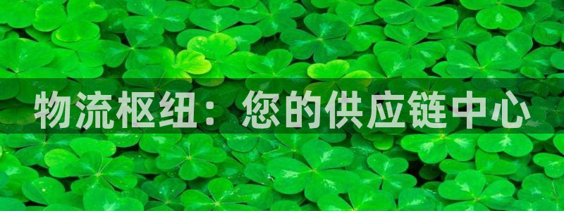 28圈模拟器下载