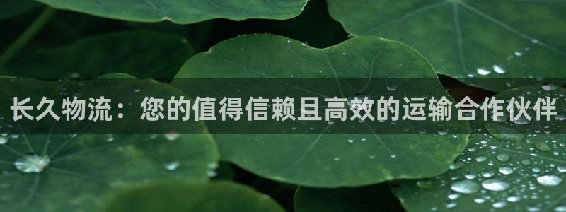 28圈充值不处理会怎么样