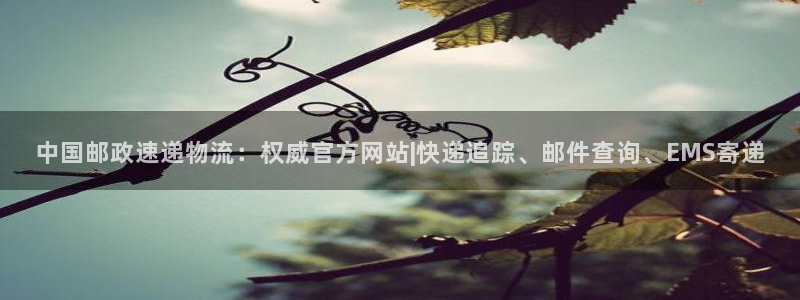 28圈软件有什么用