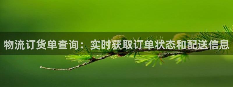28圈哪个最赚钱