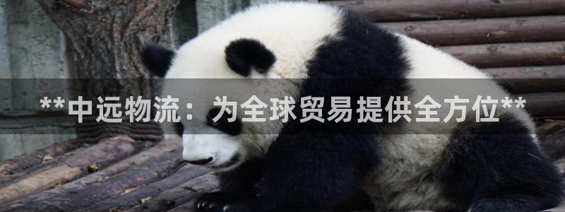 28圈aPP退款