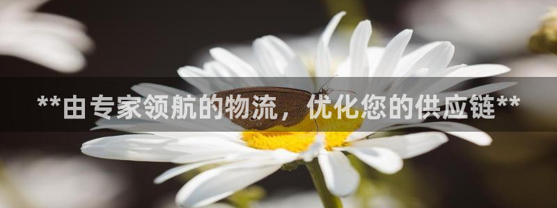 28圈软件总是闪退怎么回事