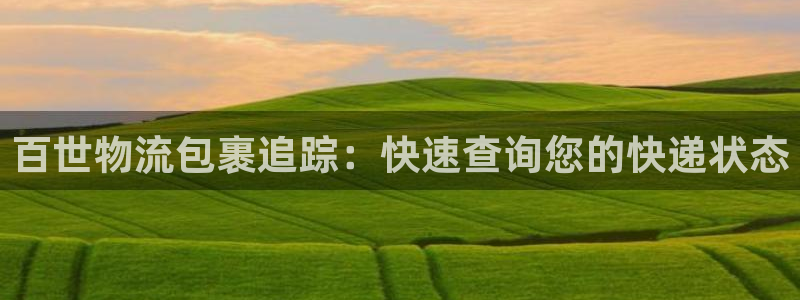 28圈预测加拿大