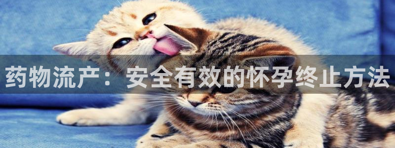 28圈连接