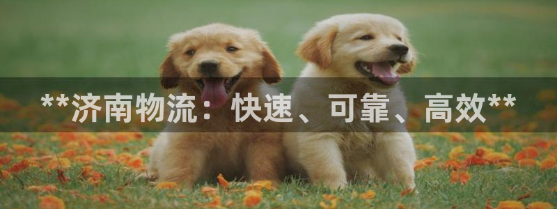 28圈官网下载链接是什么