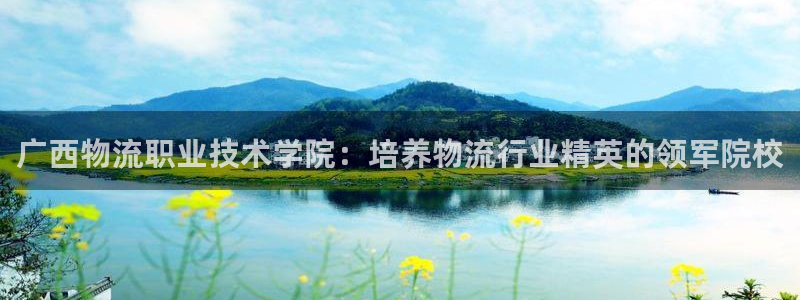 28圈电子游戏