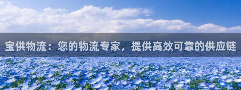 28圈软件