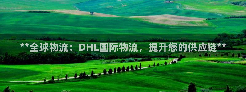 28圈官网版2024