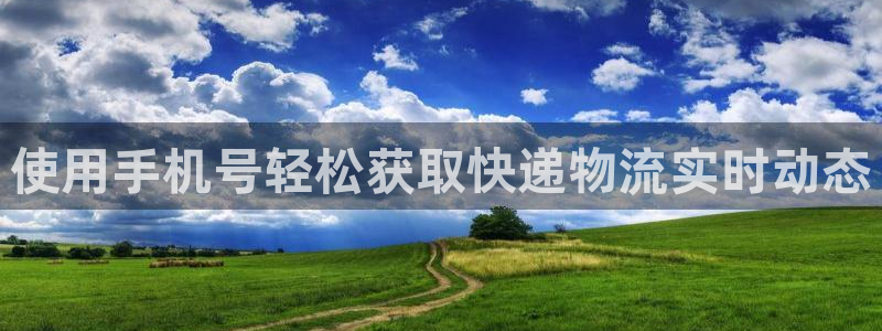 28圈预测加拿大