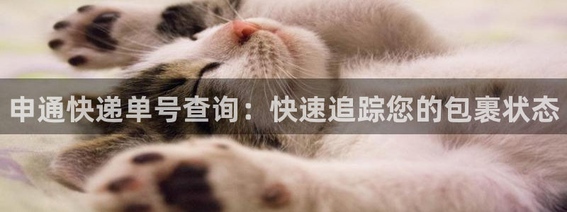 28圈二维码