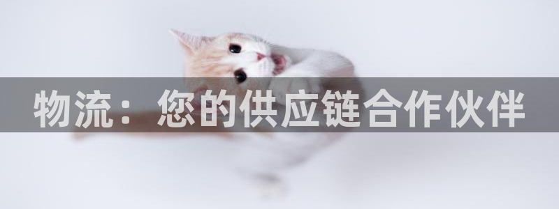 28圈登录用户名登录不上:物流:您的