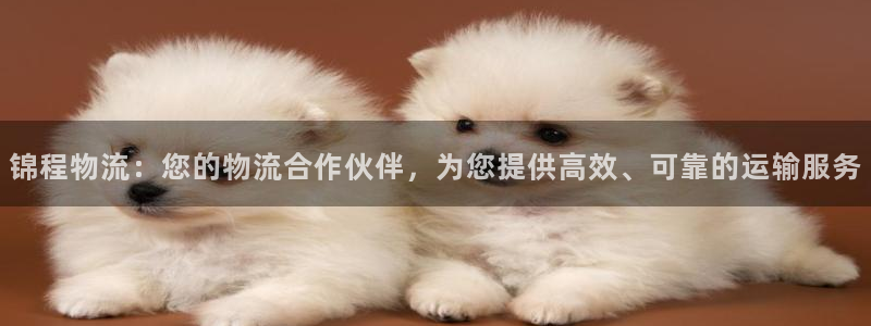 28圈哪个最赚钱