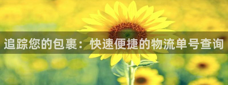 28圈充值不处理怎么办