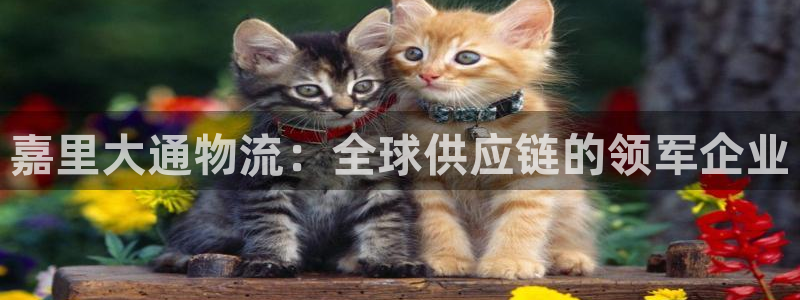 28圈圈助手