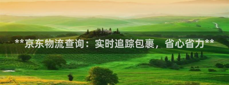 加拿大28圈数字规则