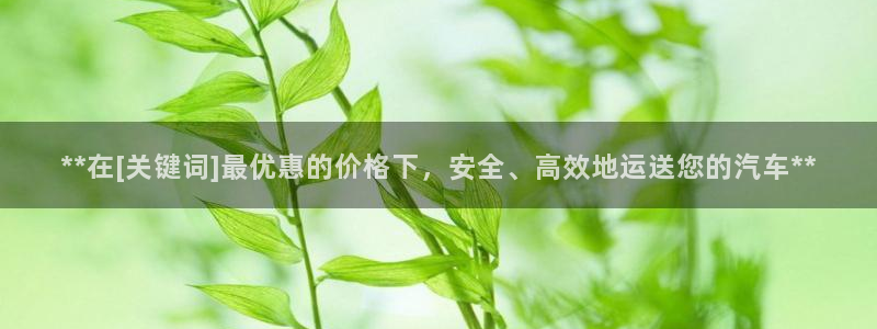 28圈.ccmpcios