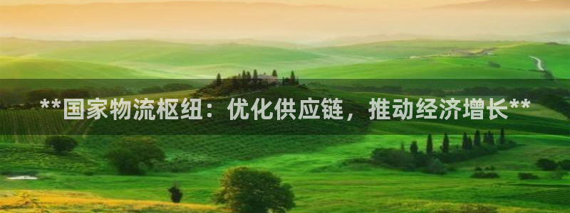 28圈游戏官网平台