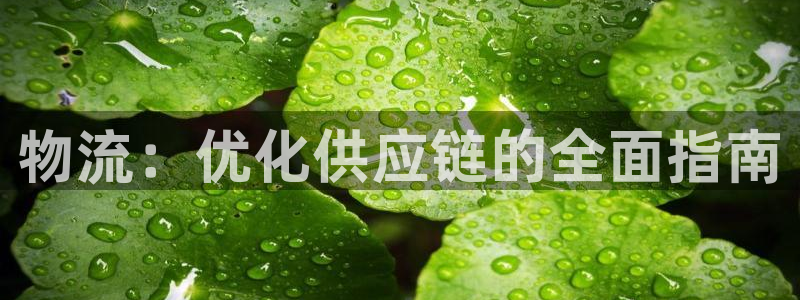 28圈初始资金密码是什么