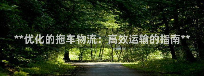 28圈娱乐官网网页入口：**优化的拖车物流：高效运输的指南*