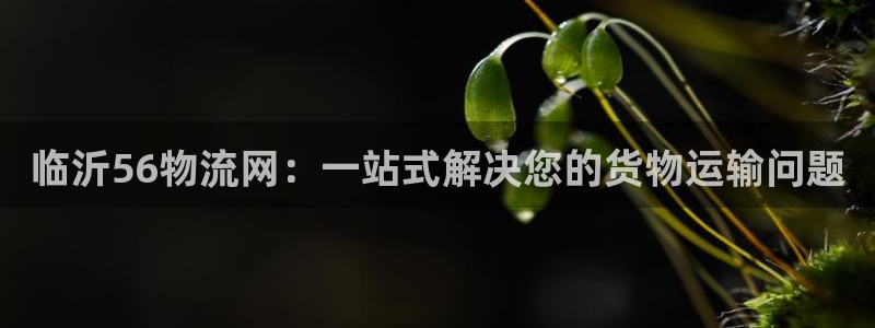 28圈充值金额随便