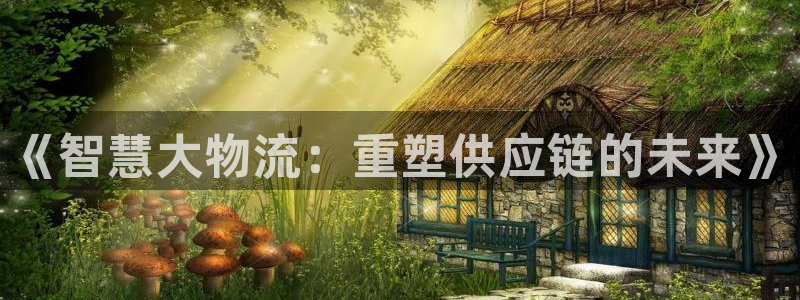 28圈p扣除：《智慧大物流：重塑供应链的未来》
