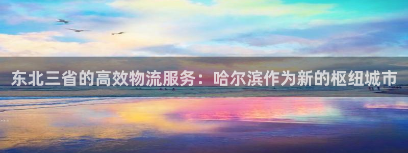 28圈哪个最赚钱：东北三省的高效物流