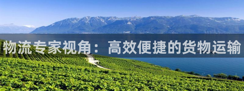 28圈预测加拿大师准