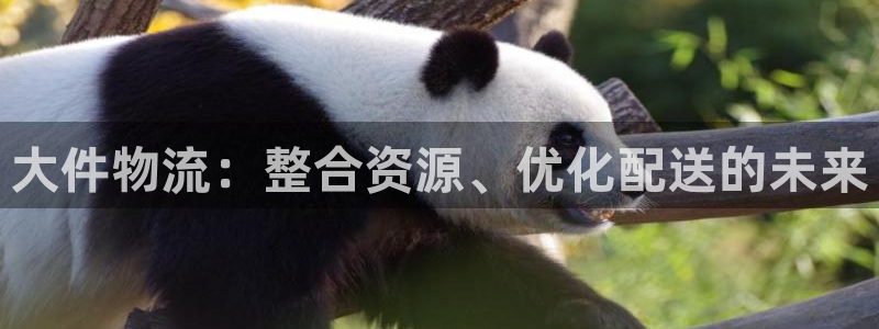 28圈为什么打不开