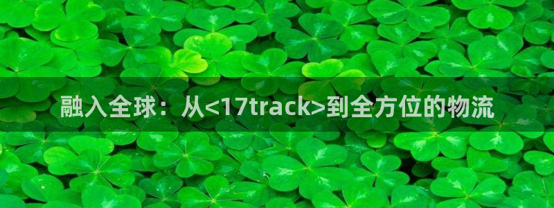 28圈机器人是什么软件：融入全球：从