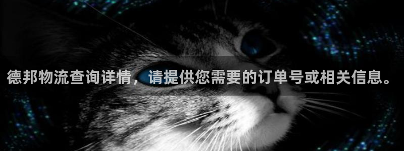 28圈怎么注册账号和密码：德邦物流查