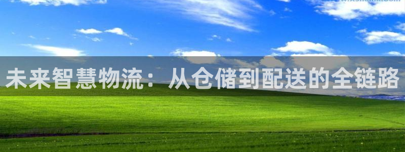 28圈加拿大在线预测：未来智慧物流：从仓储到配送的全链路