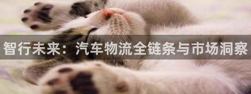 28圈昵称：智行未来：汽车物流全链条