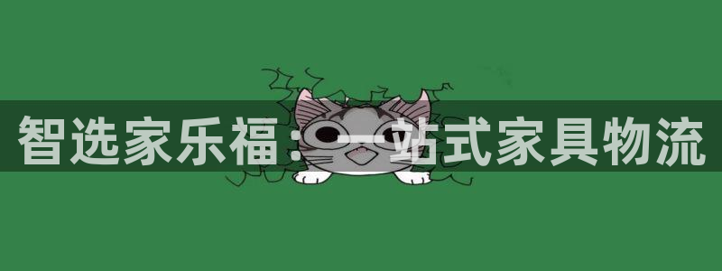 28圈里的财神：智选家乐福：一站式家