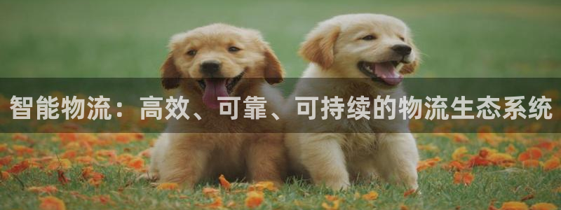 28圈玩法：智能物流：高效、可靠、可持续的物流生态系统